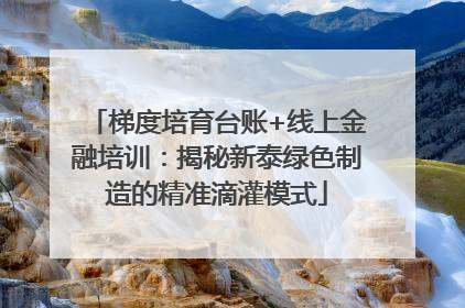 梯度培育台账+线上金融培训：揭秘新泰绿色制造的精准滴灌模式