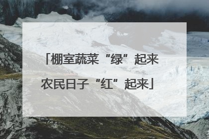 棚室蔬菜“绿”起来 农民日子“红”起来