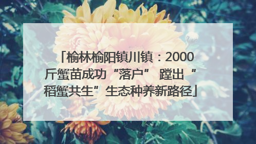 榆林榆阳镇川镇：2000斤蟹苗成功“落户” 蹚出“稻蟹共生”生态种养新路径