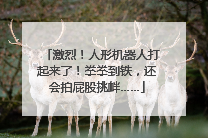 激烈！人形机器人打起来了！拳拳到铁，还会拍屁股挑衅……