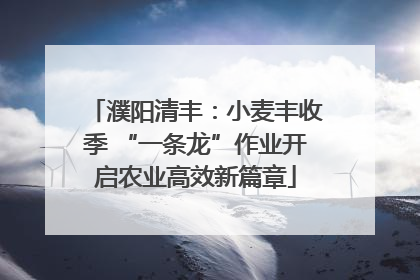 濮阳清丰：小麦丰收季 “一条龙”作业开启农业高效新篇章