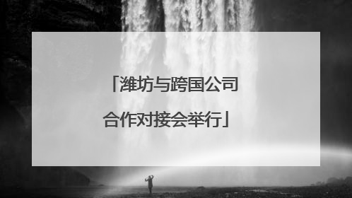 潍坊与跨国公司合作对接会举行