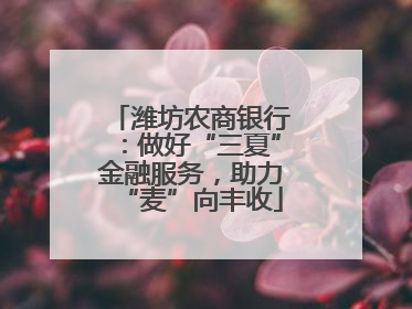 潍坊农商银行：做好“三夏”金融服务，助力“麦”向丰收