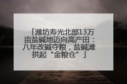 潍坊寿光北部13万亩盐碱地迈向高产田：八年改碱夺粮，盐碱滩拱起“金粮仓”