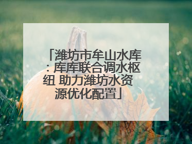 潍坊市牟山水库：库库联合调水枢纽 助力潍坊水资源优化配置