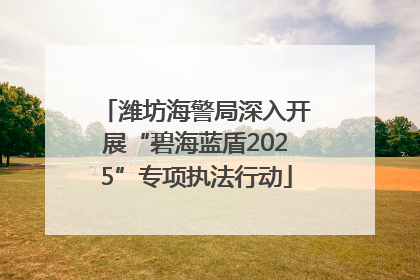 潍坊海警局深入开展“碧海蓝盾2025”专项执法行动