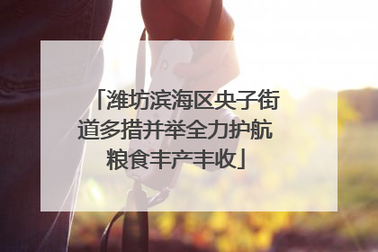潍坊滨海区央子街道多措并举全力护航粮食丰产丰收