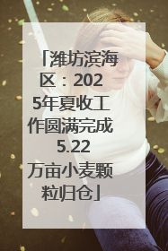 潍坊滨海区：2025年夏收工作圆满完成 5.22万亩小麦颗粒归仓