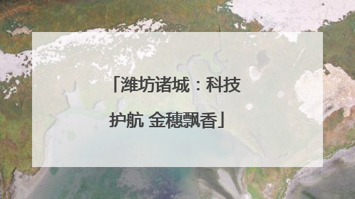 潍坊诸城：科技护航 金穗飘香