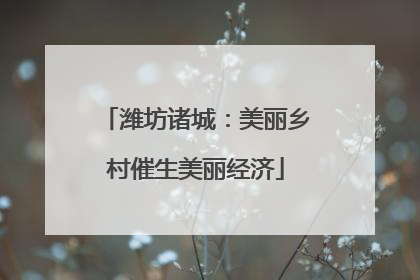 潍坊诸城：美丽乡村催生美丽经济