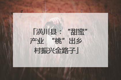 潢川县：“甜蜜”产业  “桃”出乡村振兴金路子