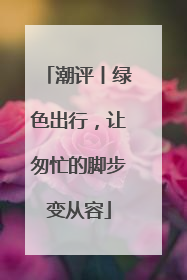 潮评丨绿色出行，让匆忙的脚步变从容