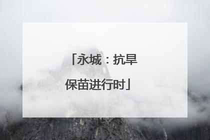 永城：抗旱保苗进行时