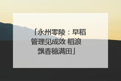 永州零陵：早稻管理见成效 稻浪飘香穗满田