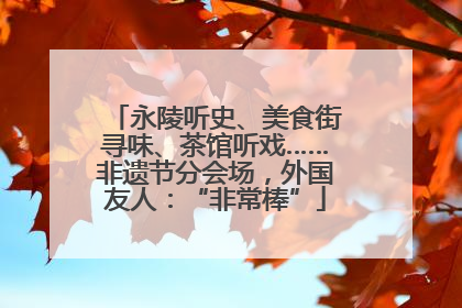 永陵听史、美食街寻味、茶馆听戏……非遗节分会场，外国友人：“非常棒”