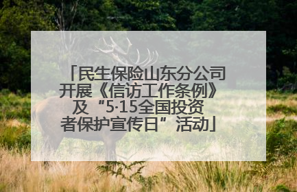 民生保险山东分公司开展《信访工作条例》及“5·15全国投资者保护宣传日”活动