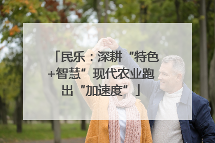 民乐：深耕“特色+智慧”现代农业跑出“加速度”