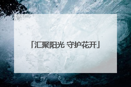 汇聚阳光 守护花开