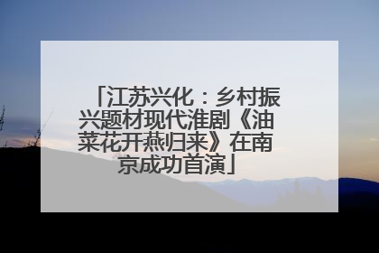 江苏兴化：乡村振兴题材现代淮剧《油菜花开燕归来》在南京成功首演