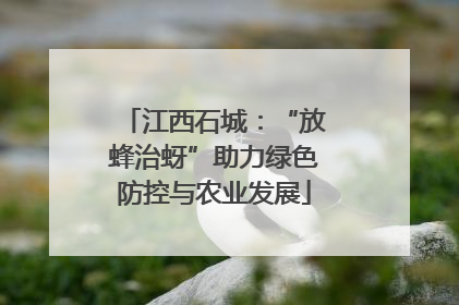 江西石城：“放蜂治蚜”助力绿色防控与农业发展