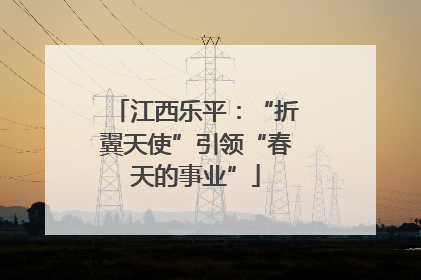 江西乐平：“折翼天使”引领“春天的事业”