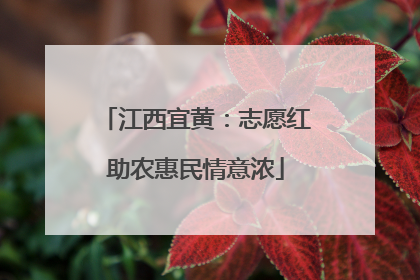江西宜黄：志愿红助农惠民情意浓