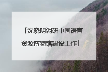 沈晓明调研中国语言资源博物馆建设工作