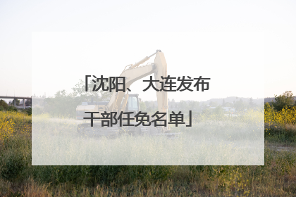 沈阳、大连发布干部任免名单