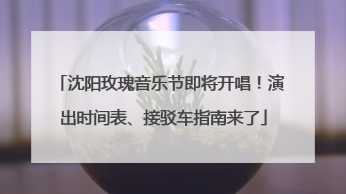 沈阳玫瑰音乐节即将开唱！演出时间表、接驳车指南来了