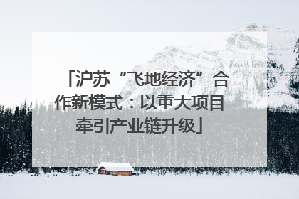 沪苏“飞地经济”合作新模式：以重大项目牵引产业链升级