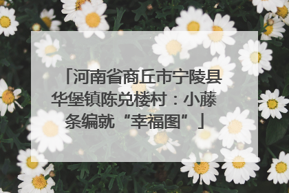 河南省商丘市宁陵县华堡镇陈兑楼村：小藤条编就“幸福图”