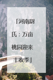 河南尉氏：万亩桃园迎来丰收季