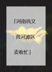 河南巩义：黄河滩区麦收忙