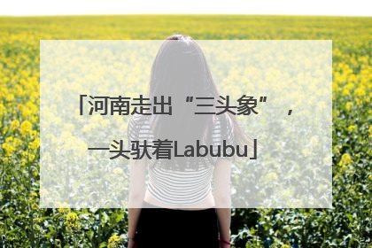 河南走出“三头象”，一头驮着Labubu