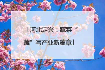 河北定兴：蔬菜“蔬”写产业新篇章