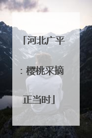 河北广平：樱桃采摘正当时