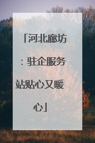 河北廊坊：驻企服务站贴心又暖心