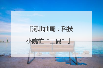 河北曲周：科技小院忙“三夏”