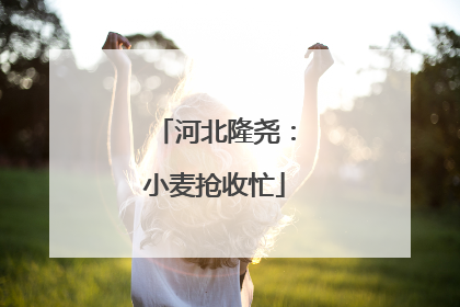 河北隆尧：小麦抢收忙