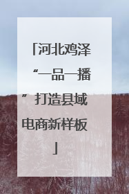 河北鸡泽“一品一播”打造县域电商新样板