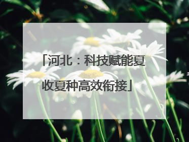 河北：科技赋能夏收夏种高效衔接