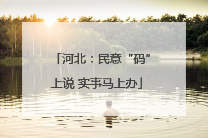 河北：民意“码”上说 实事马上办