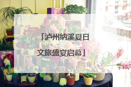 泸州纳溪夏日文旅盛宴启幕