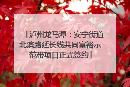 泸州龙马潭：安宁街道北滨路延长线共同富裕示范带项目正式签约