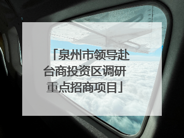 泉州市领导赴台商投资区调研重点招商项目