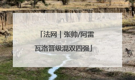 法网｜张帅/阿雷瓦洛晋级混双四强