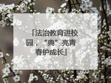 法治教育进校园，“典”亮青春护成长