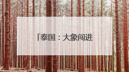 泰国：大象闯进便利店吃零食