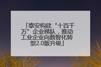 泰安构建“十百千万”企业梯队，推动工业企业向数智化转型2.0版升级