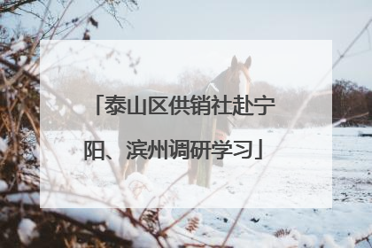 泰山区供销社赴宁阳、滨州调研学习